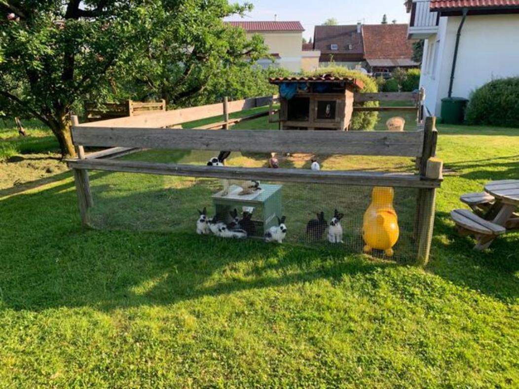 Ferienwohnung Ingrid Kressbronn am Bodensee Esterno foto