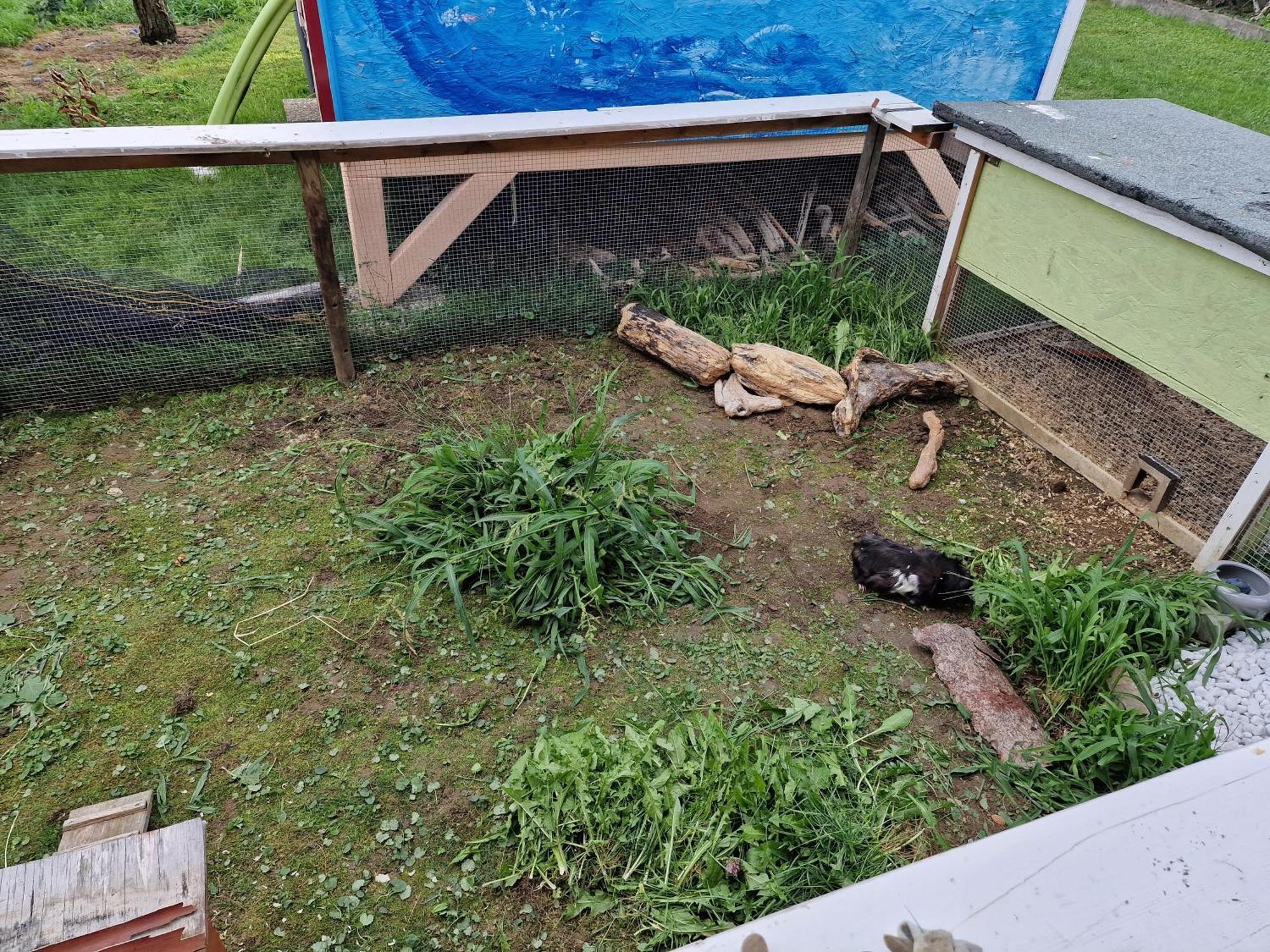 Ferienwohnung Ingrid Kressbronn am Bodensee Esterno foto